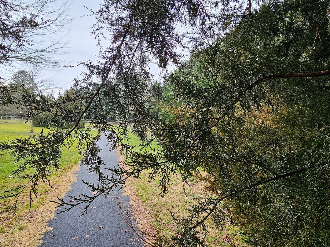 Prospect Mill Park景点图片