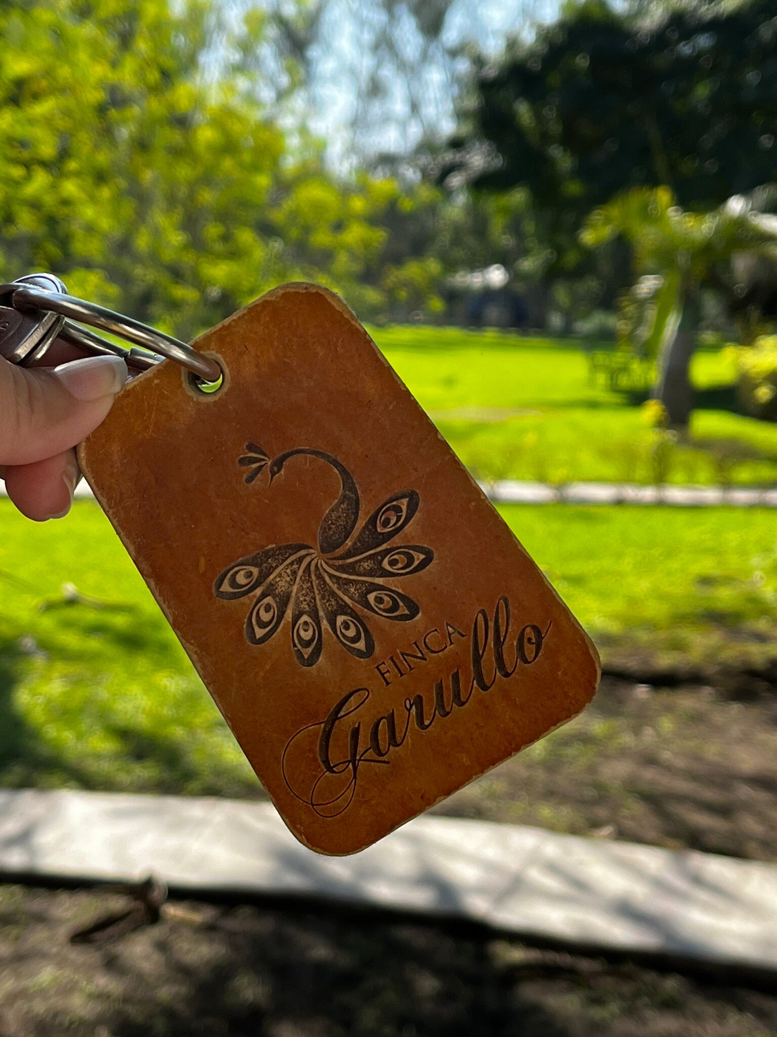 Finca Garullo-官方