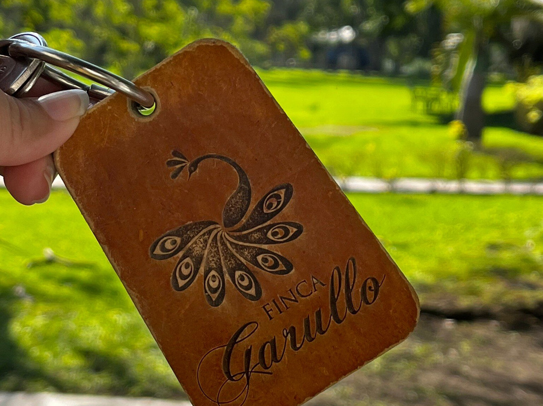 Finca Garullo主图