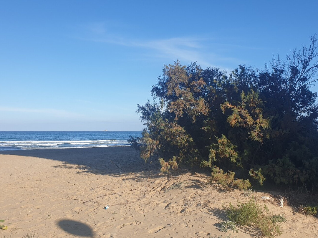 Playa de Las Amoladeras景点图片