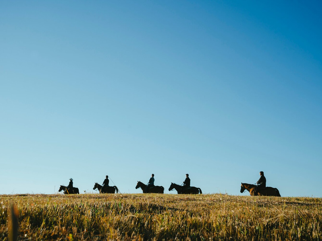 Yumedaichi Green Valley-阿苏市必去景点