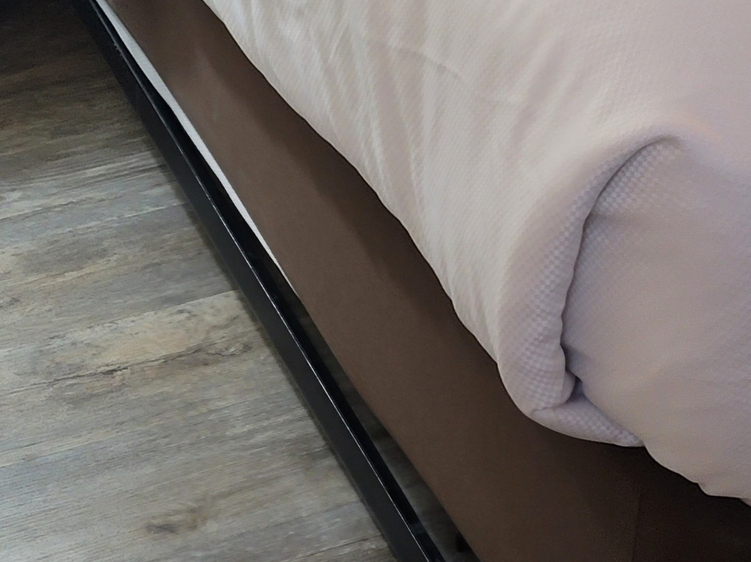 Comfort Inn & Suites Deland - Near University主图