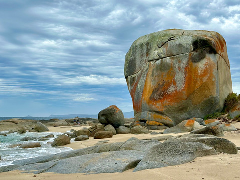 Flinders Island Adventures-Flinders Island必去景点