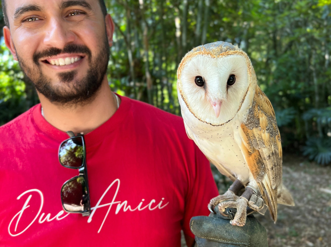 ArtFalcon Falcoaria-佩尼亚必去景点