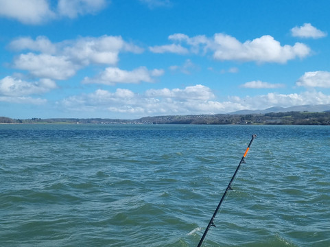 Perfect catch fishing charters-Beaumaris必去景点