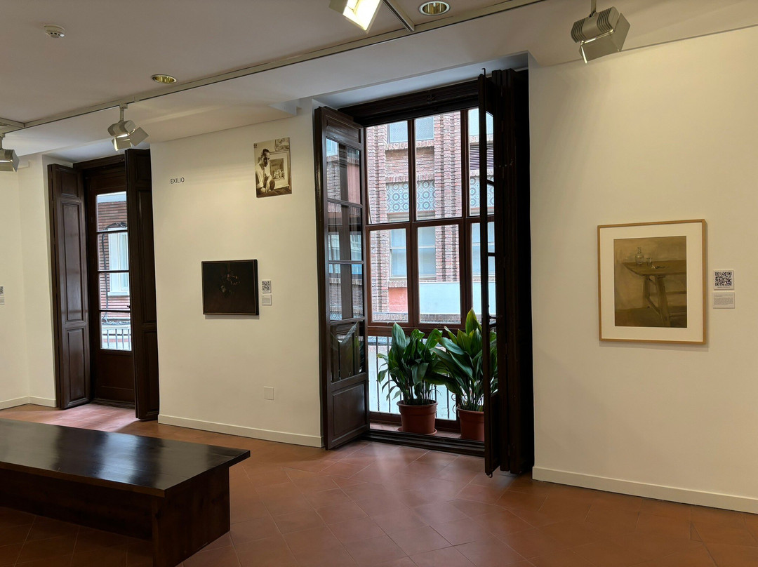 Museo Gaya-穆尔西亚必去景点