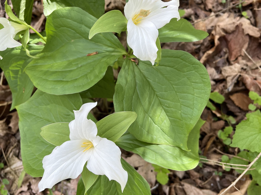 A.W. Marion State Park-Circleville必去景点