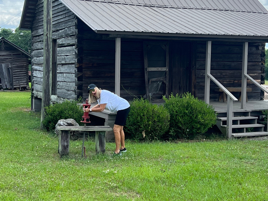 The Cottle House Bed & Breakfast主图