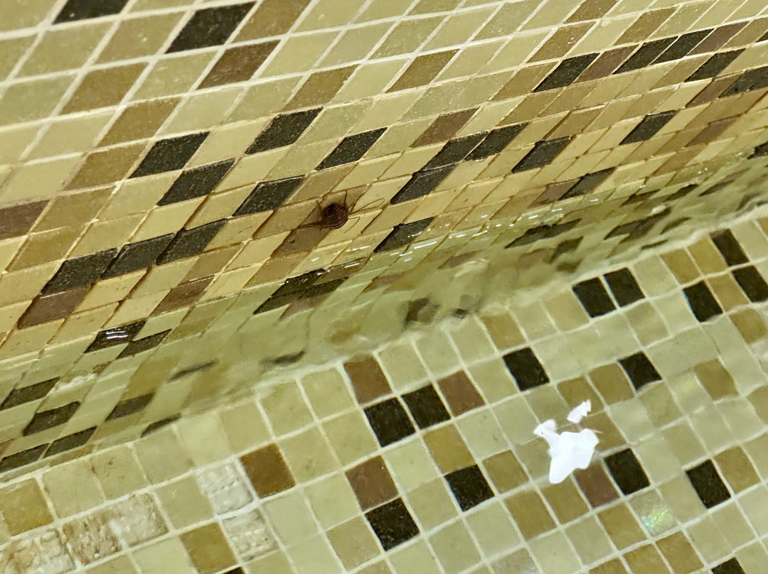 Temple Leaf Spa Land Massage-胡志明市必去景点