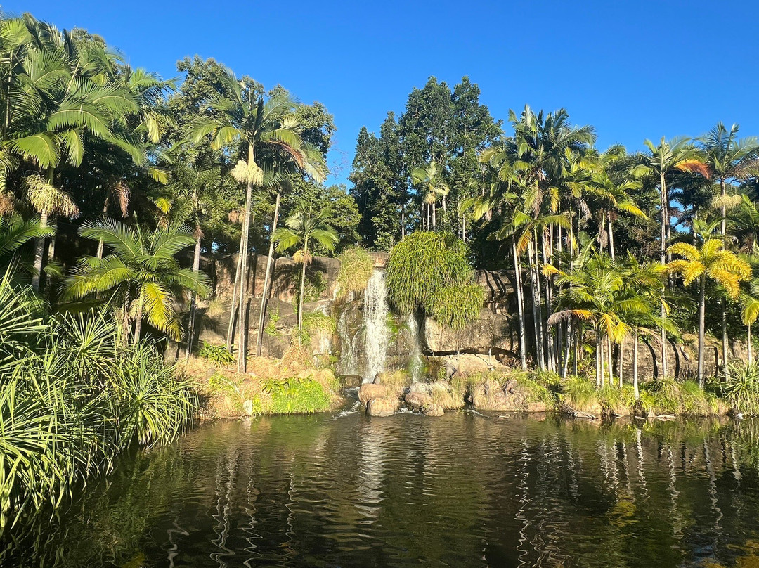 Kershaw Gardens-罗克汉普顿必去景点