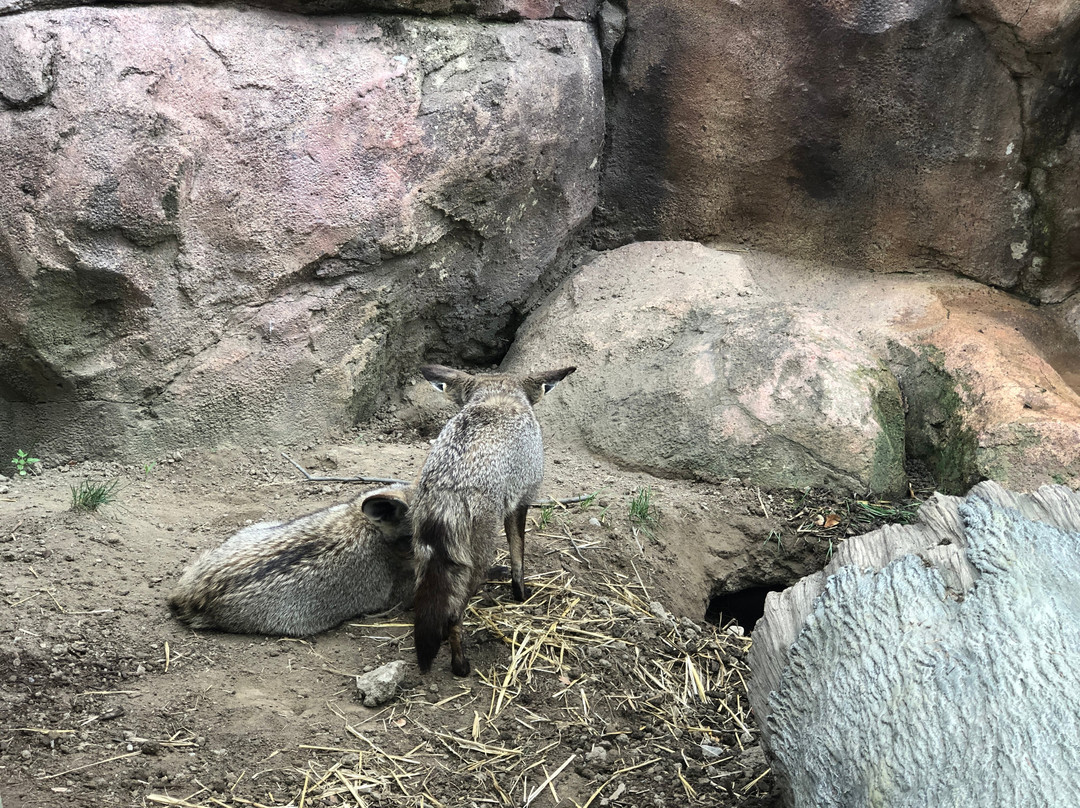 Fort Wayne Zoo-韦恩堡必去景点