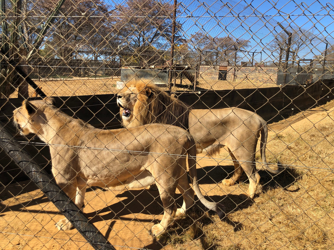 Eventieria Wildlife Park-瓦尔沃特必去景点