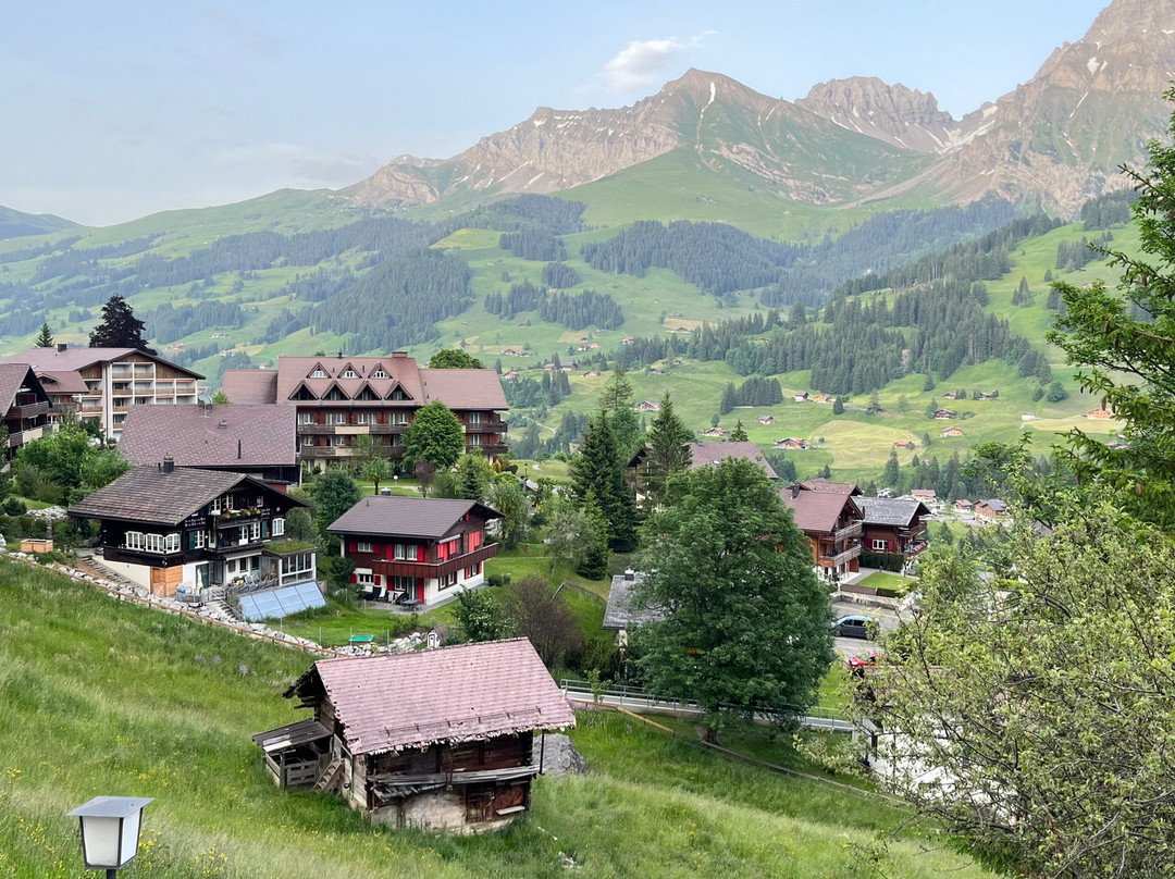 Hotel Steinmattli主图