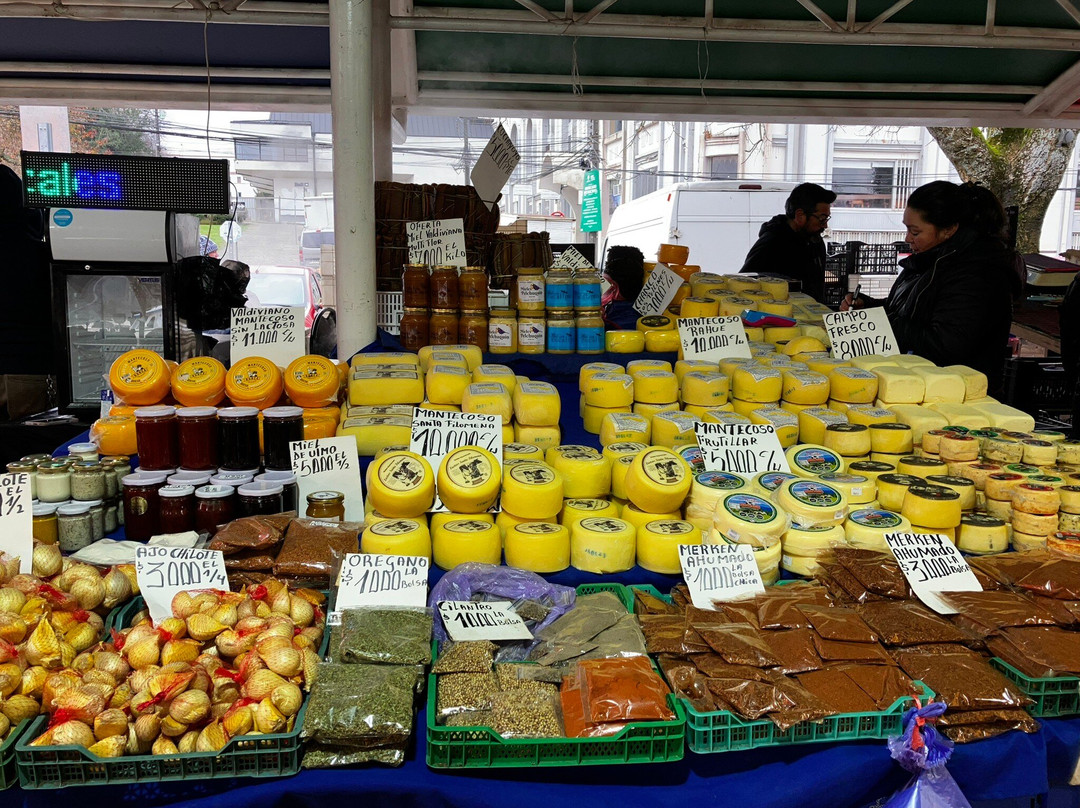 Feria Fluvial de Valdivia-瓦尔迪维亚必去景点