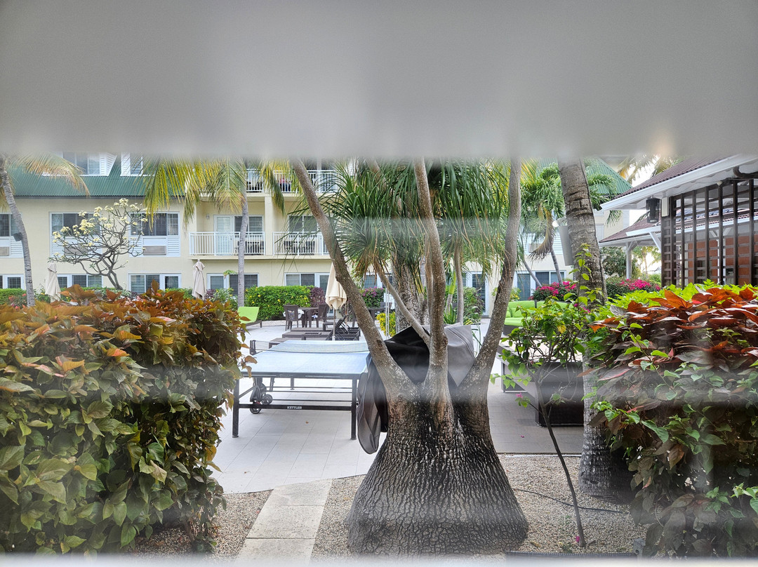 Ports of Call Resort主图