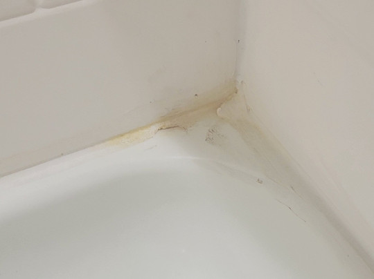 Tru by Hilton Novi Detroit主图