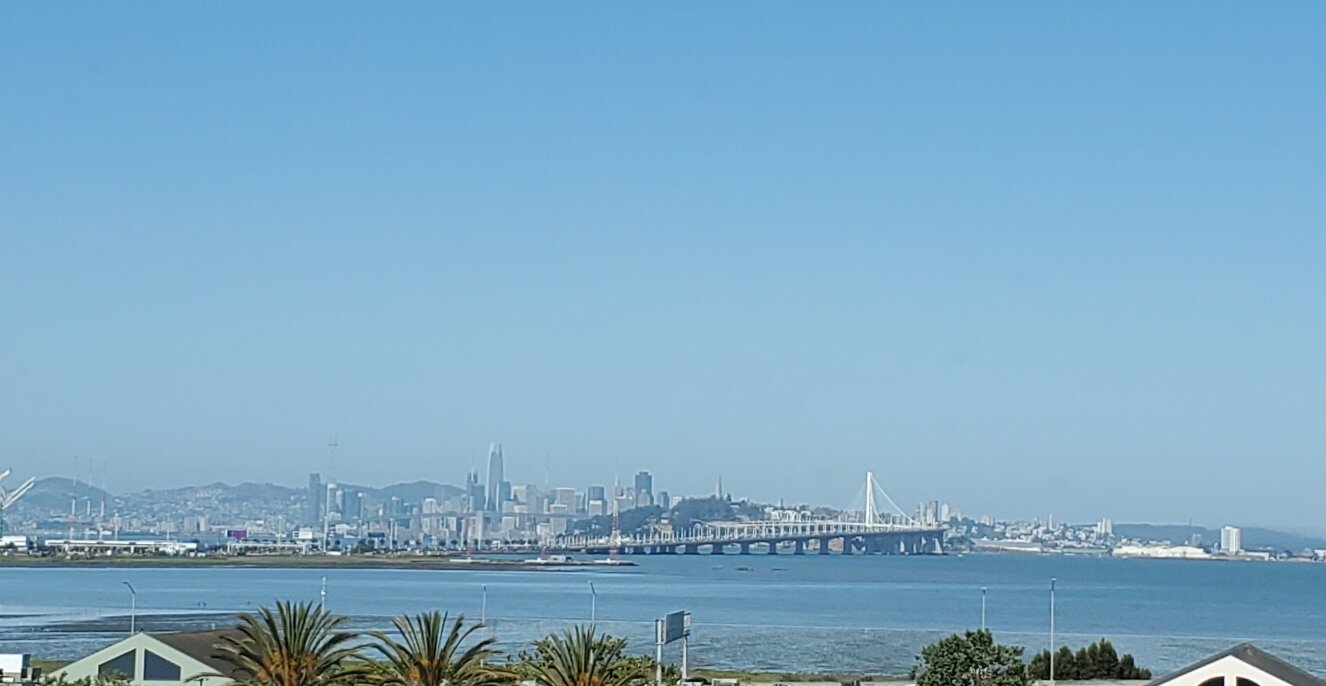 凯悦艾莫利维尔旧金山湾区域酒店-酒店景观