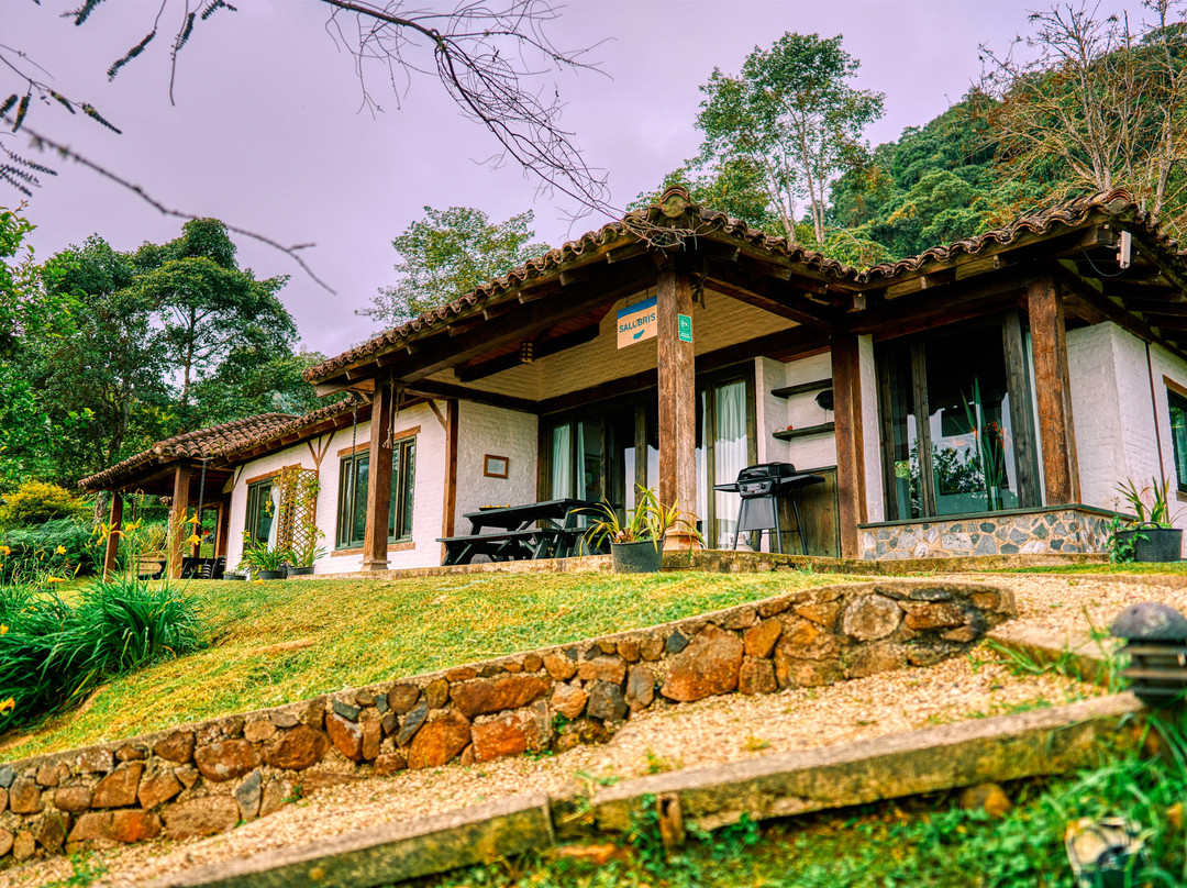 Eucaliputus Resort主图