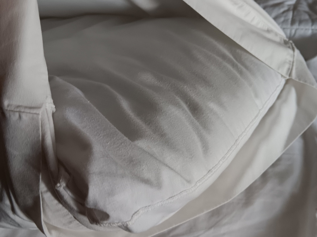 Red Roof Inn Darien - I-95/ North Brunswick主图