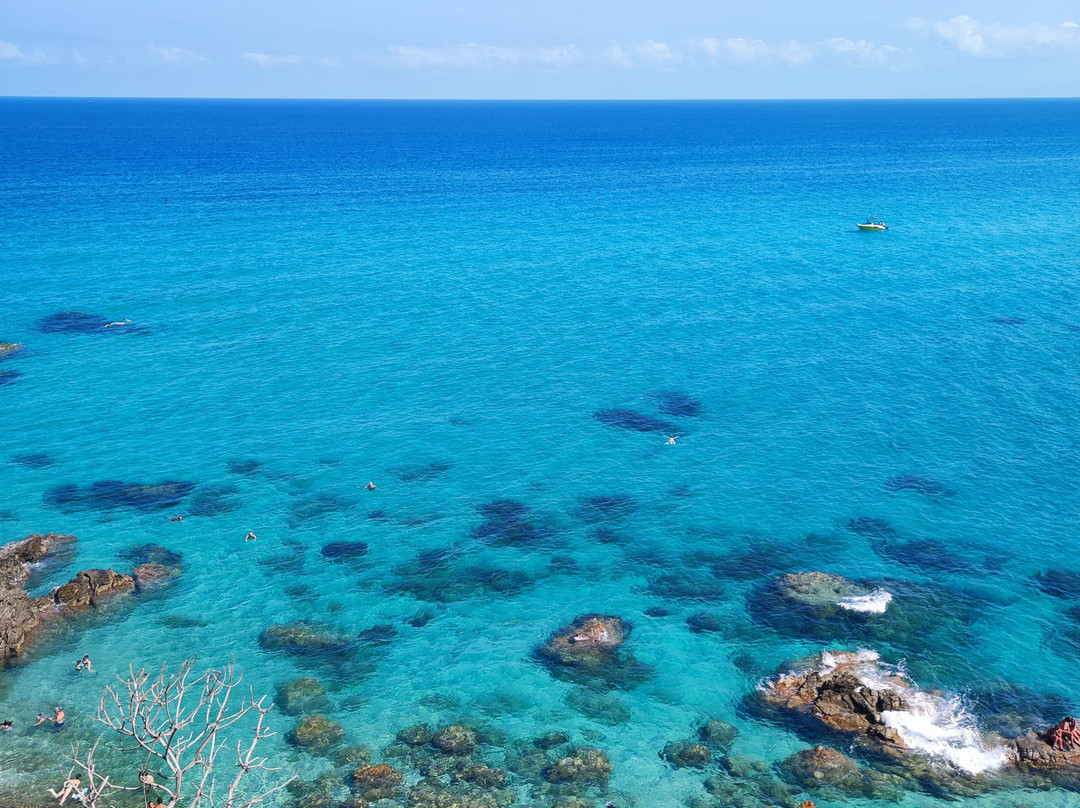 B&B Allison Tropea主图