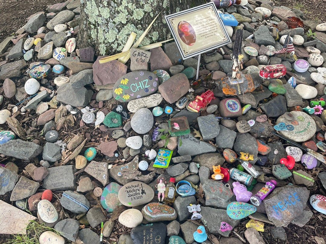 蒙蒂塞洛贝斯特韦斯特酒店主图