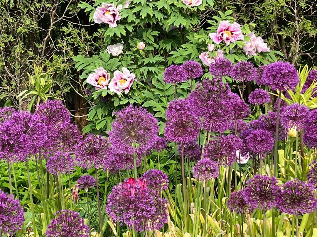 Green Bay Botanical Garden景点图片