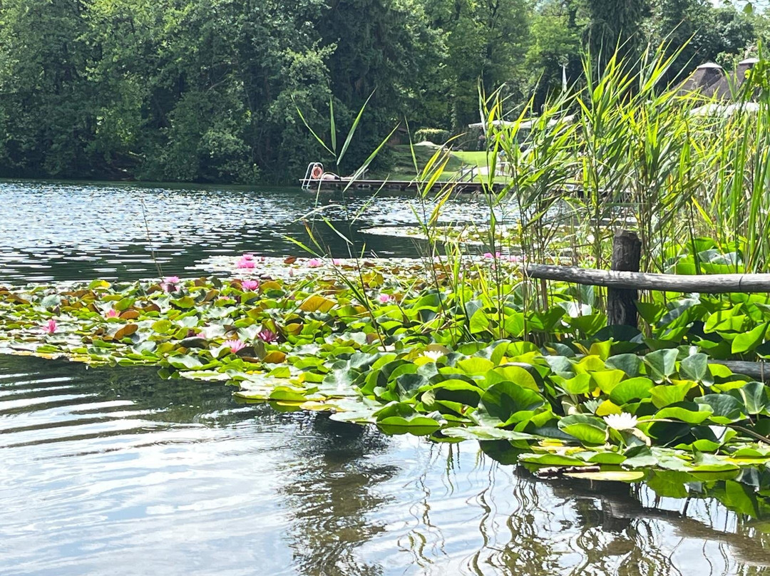 Lago Piccolo Laghi di Monticolo景点图片
