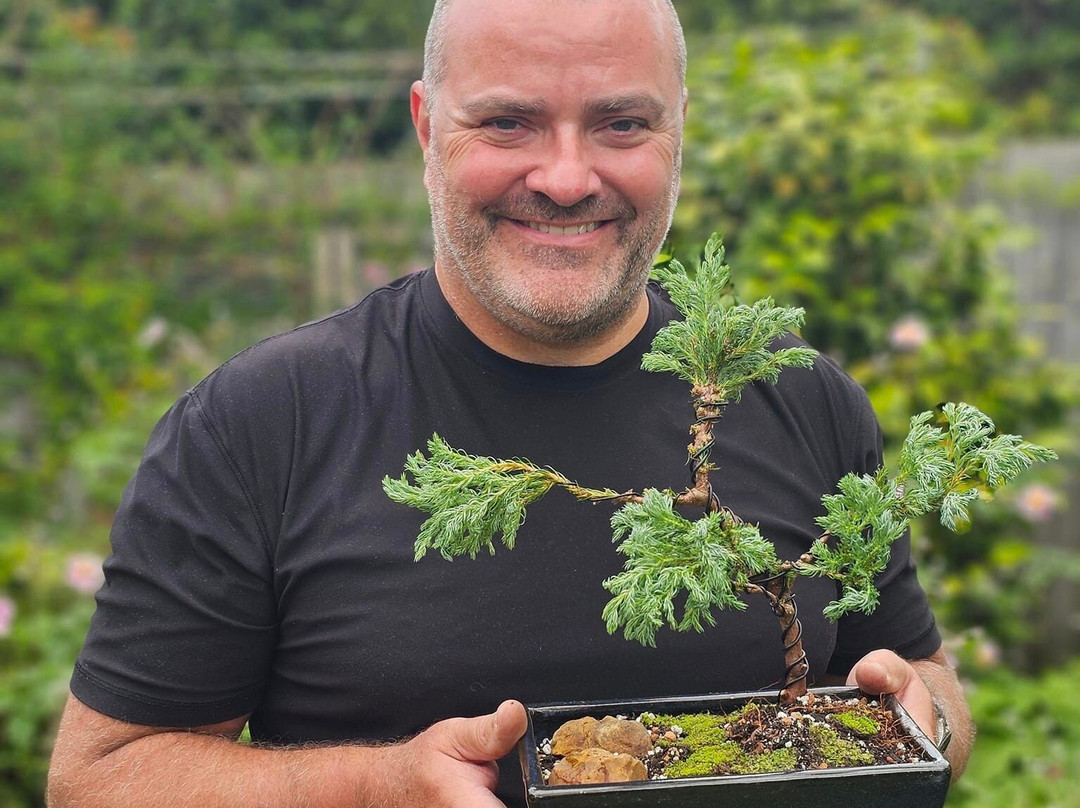 Create a Bonsai with Streamside Trees景点图片