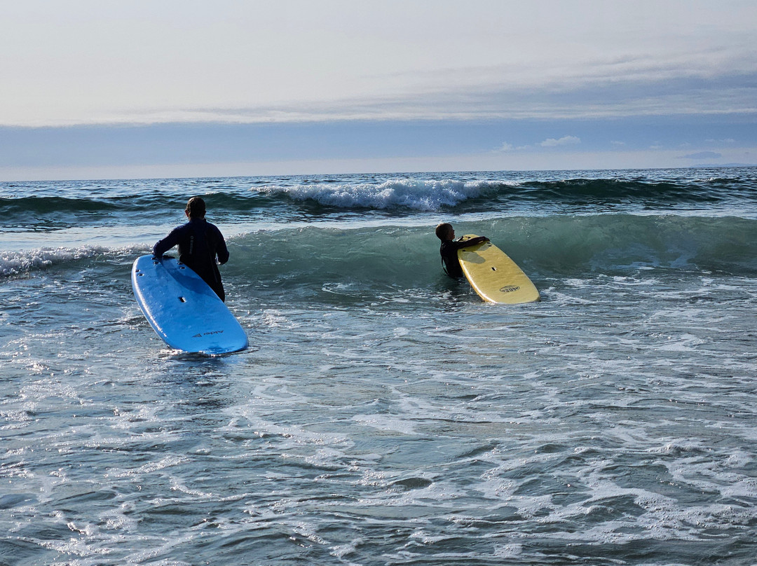Aloha Surf School景点图片