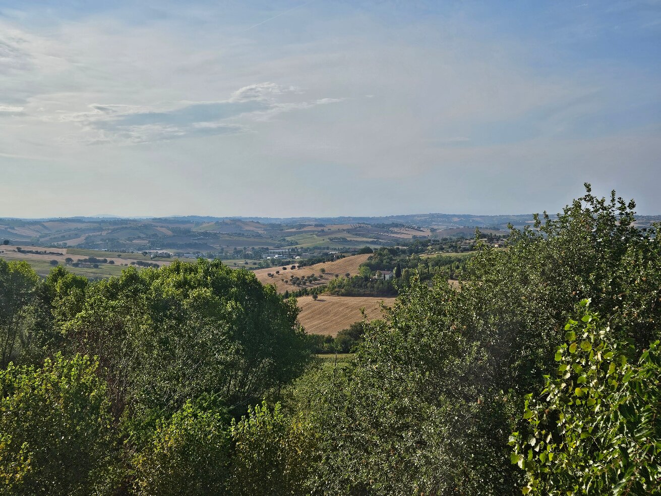 La Cantinella-官方