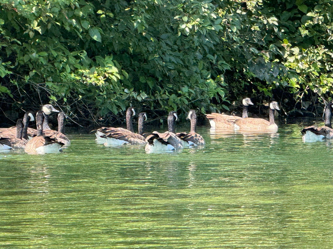 Leavenworth Outdoor Center-莱文沃思必去景点