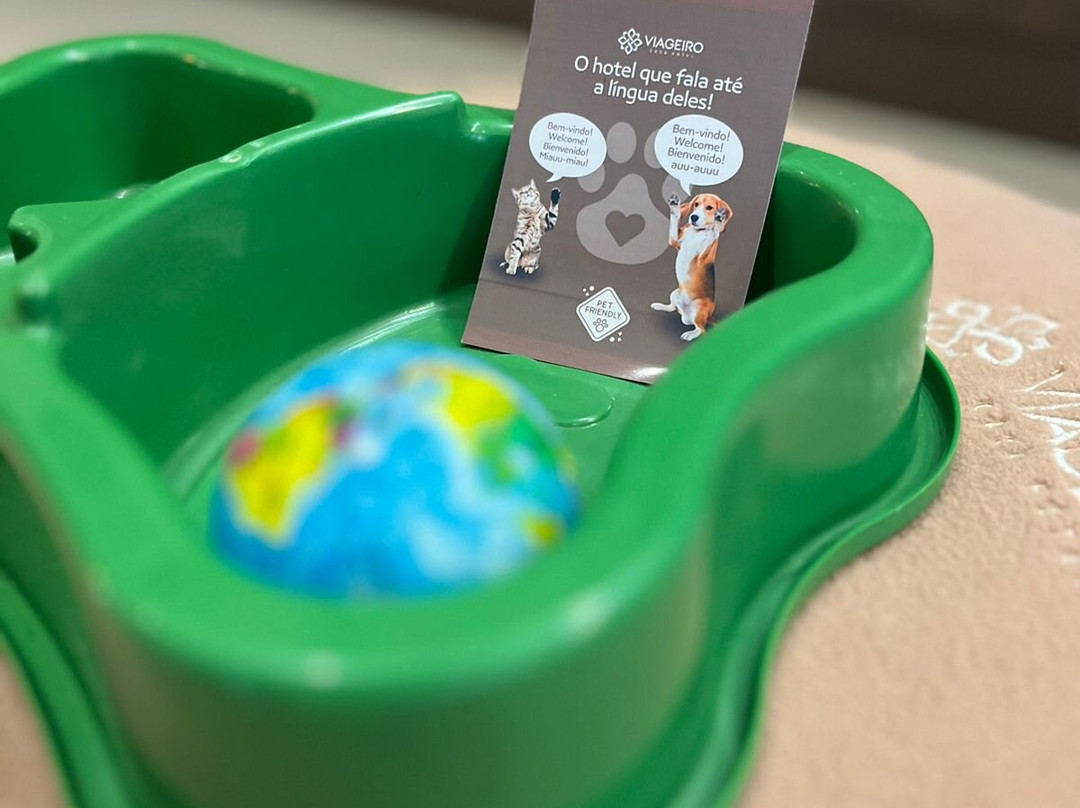 Viageiro Casa Hotel主图