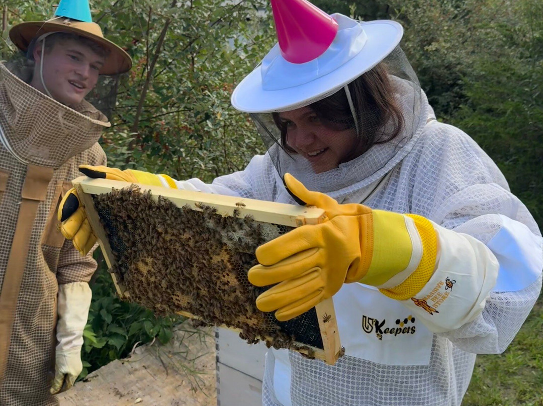 Dry Creek Beekeeping景点图片