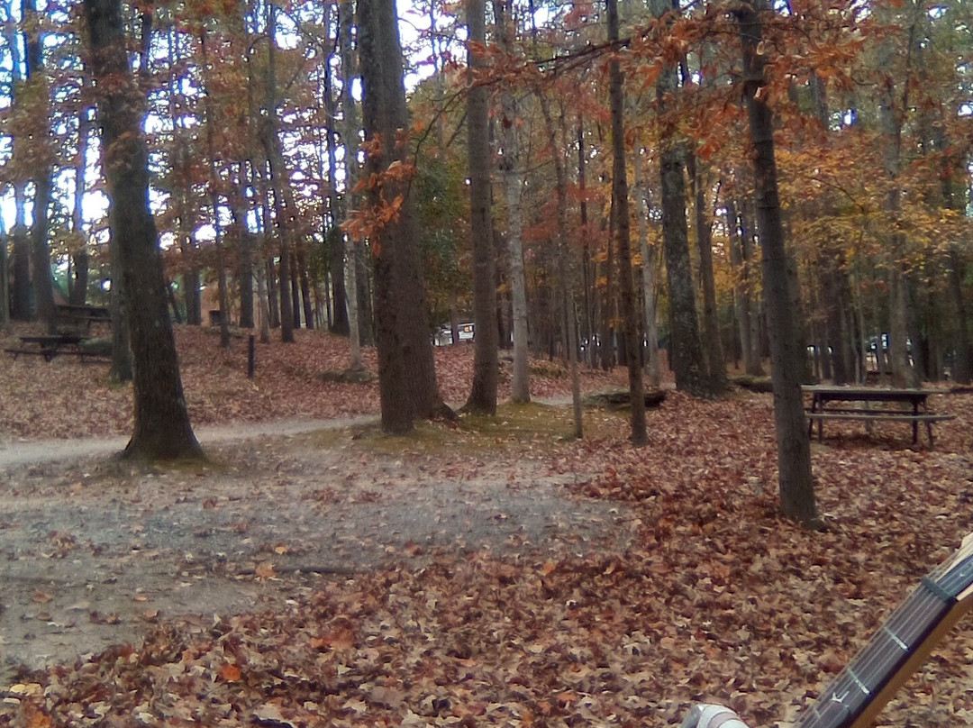 Shenandoah National Park景点图片