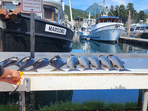The Local Guy Charters & Sightseeing-朱诺必去景点