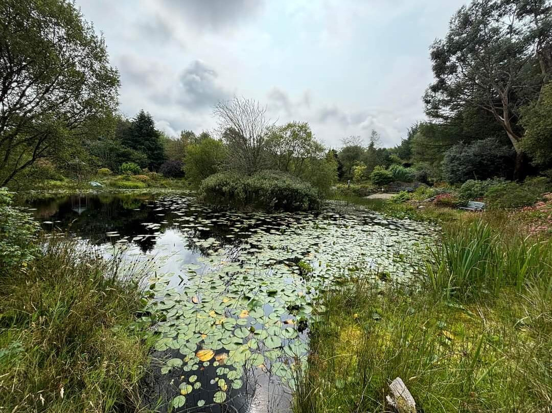 Bwlch y Geuffordd Gardens景点图片