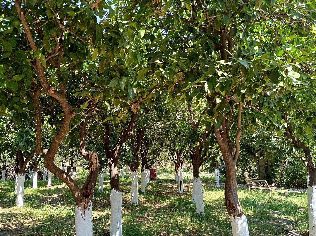 Mouzaliko Traditional Hotel主图