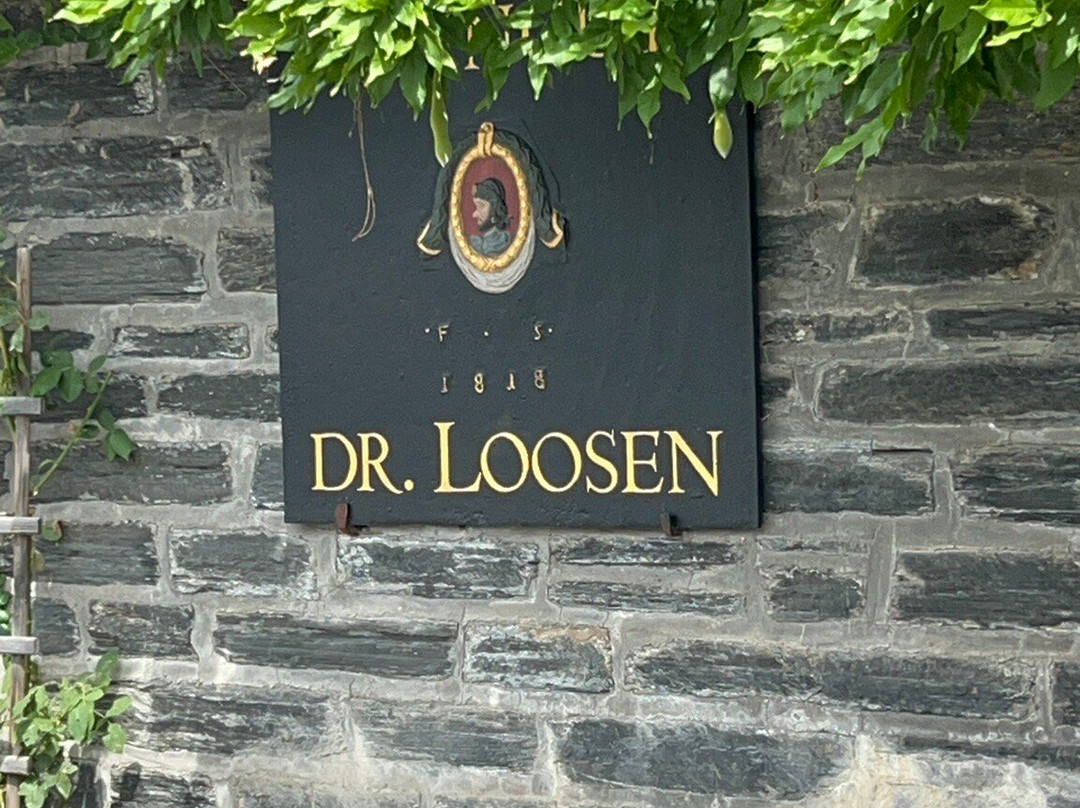 Weingut Dr. Loosen-贝恩卡斯特尔－屈斯必去景点