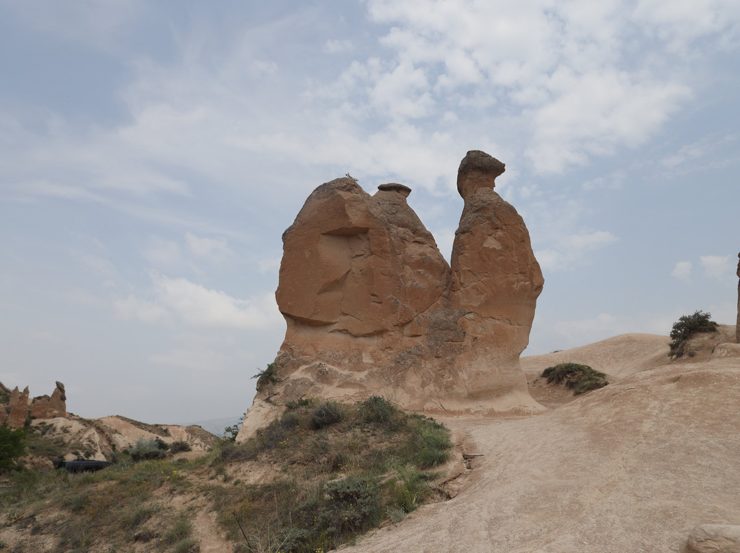Camel Rock-格雷梅必去景点