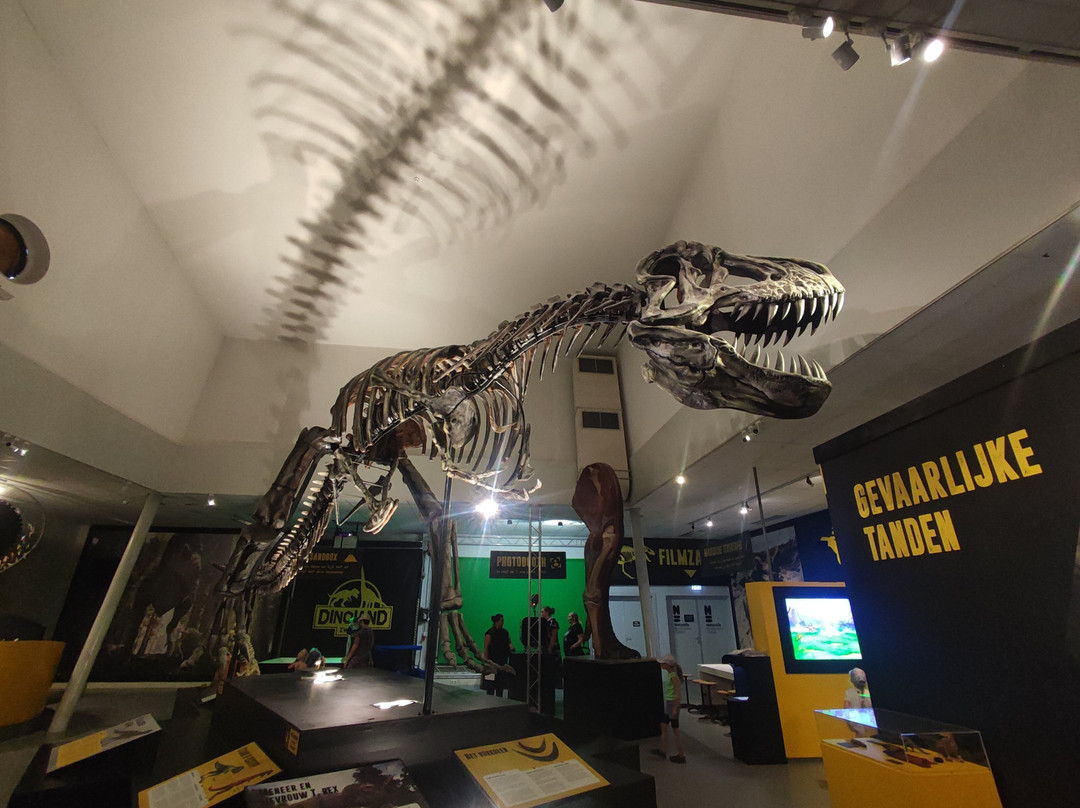 Dinoland Zwolle-兹沃勒必去景点