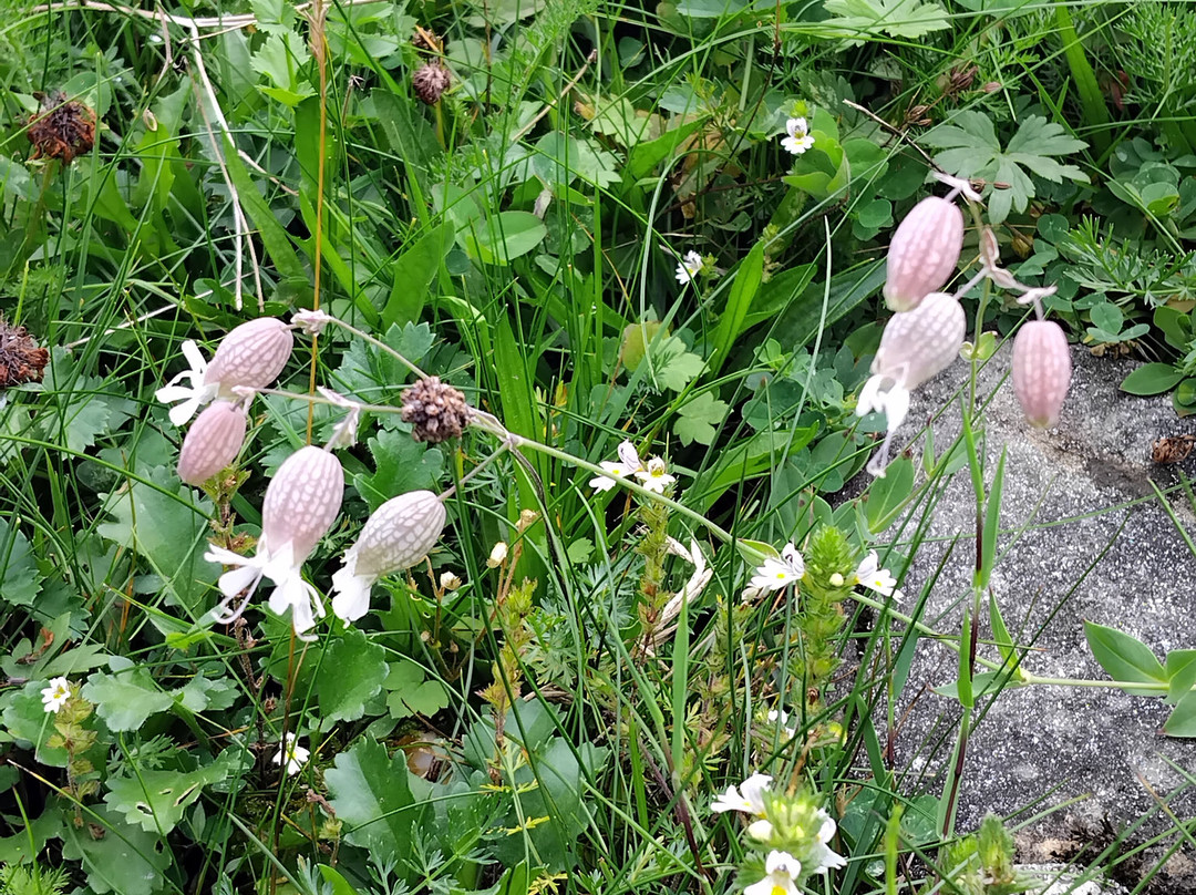 Bad Fusch-Fusch必去景点