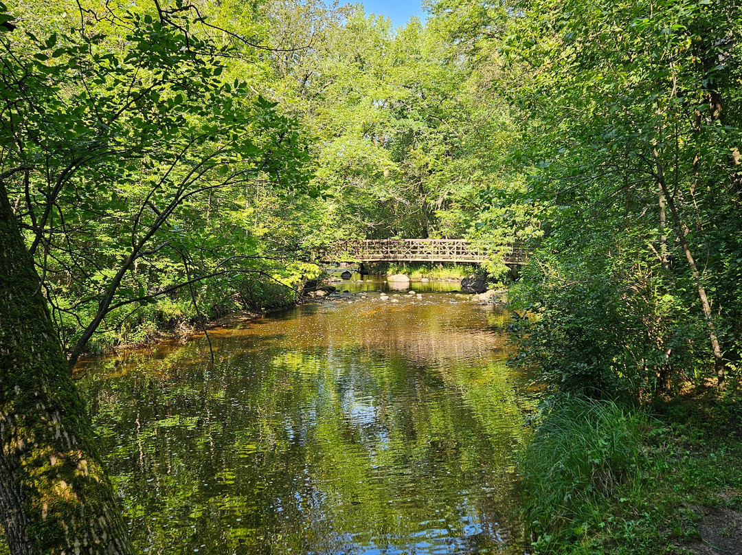 Charles A. Lindbergh State Park-Little Falls必去景点