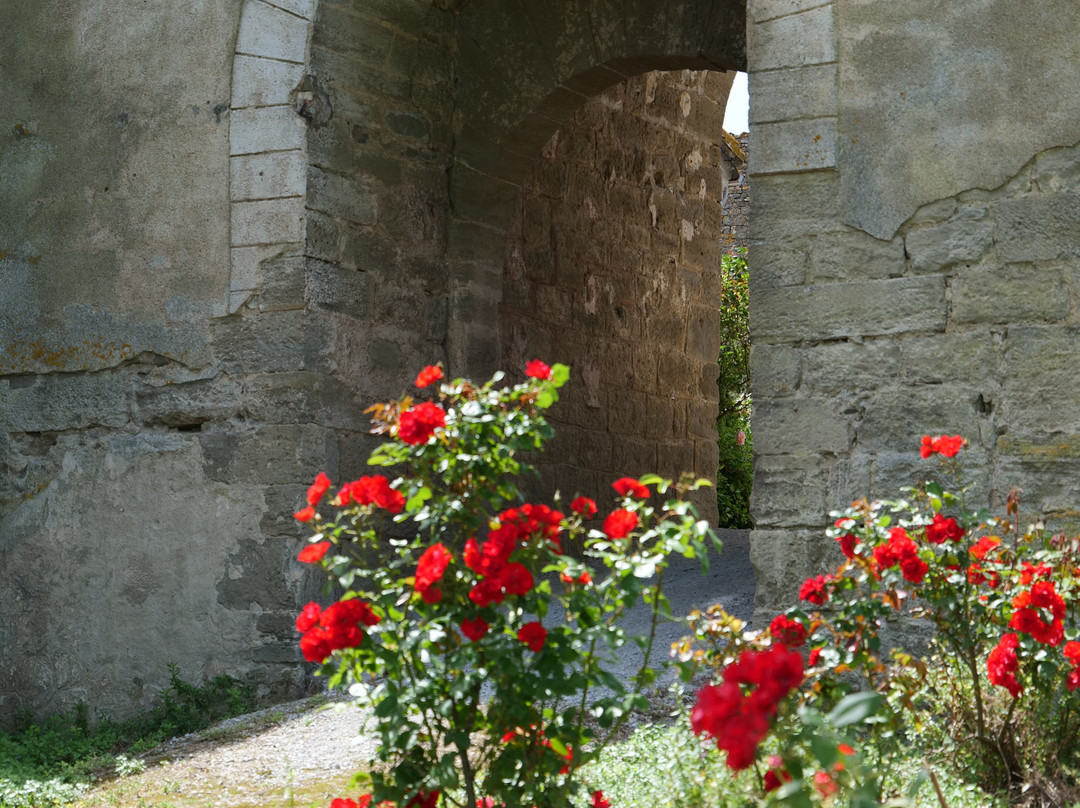 Château La Bastide Rougepeyre景点图片