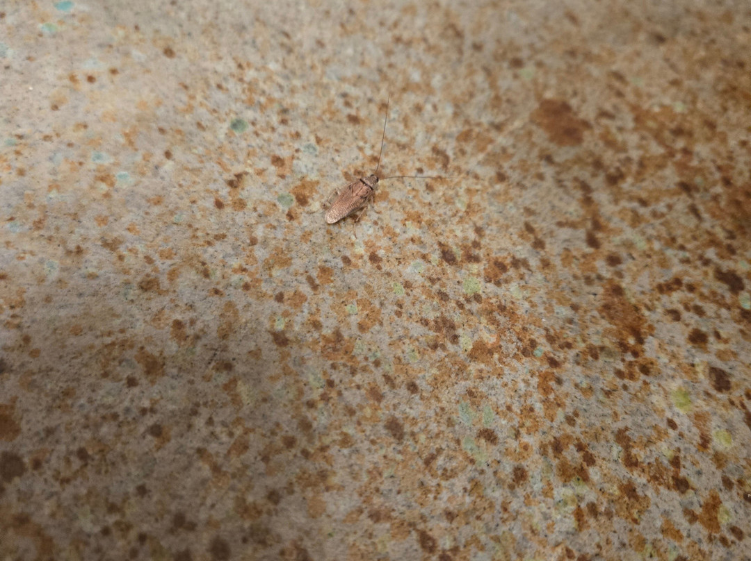 Kalani Retreat Center主图