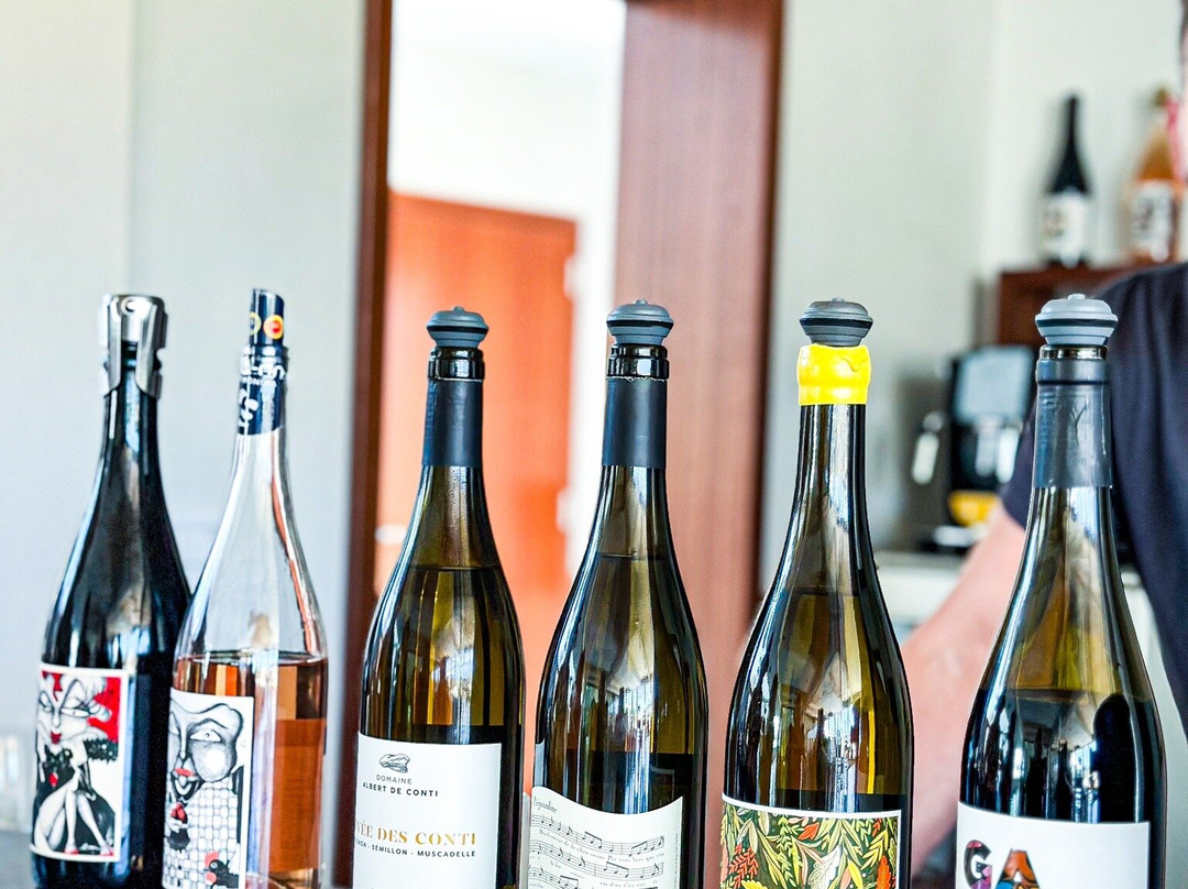 Dordogne Vineyard Tours景点图片