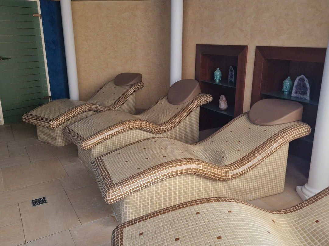 Domaine La Foret主图