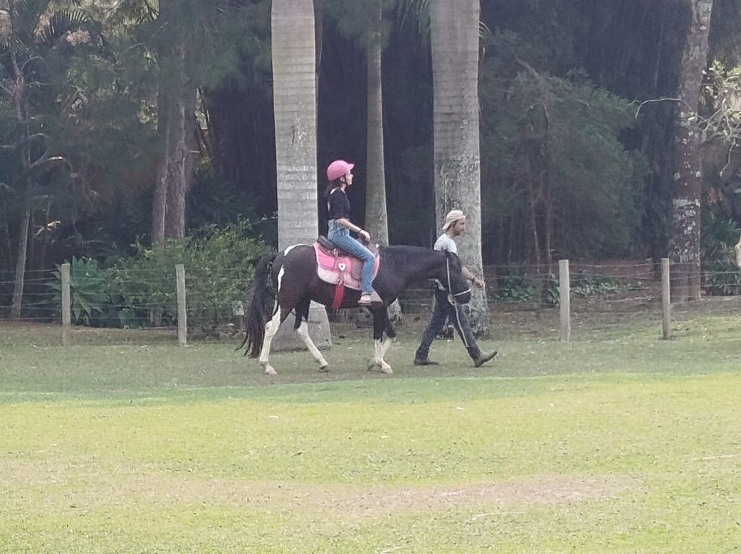 All Inclusive VilaVip Hotel Fazenda主图