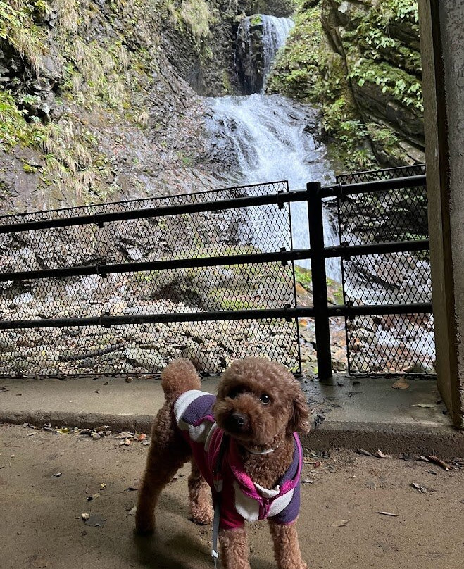 Ryuka Waterfall-那须盐原市必去景点