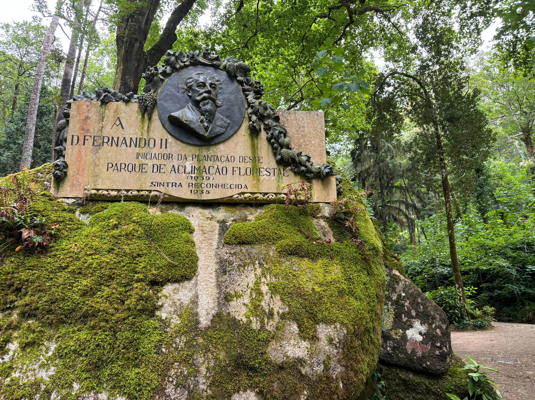 Vale dos Lagos at Parque de Pena景点图片