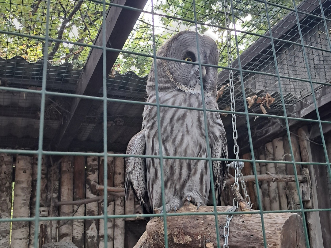 Malinki South Bird Park景点图片